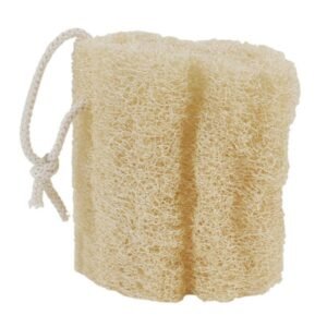 A piece of loofah