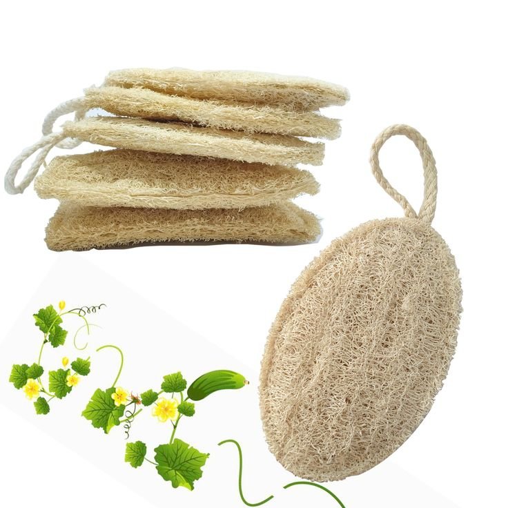 Oval kitchen sponge cleaner